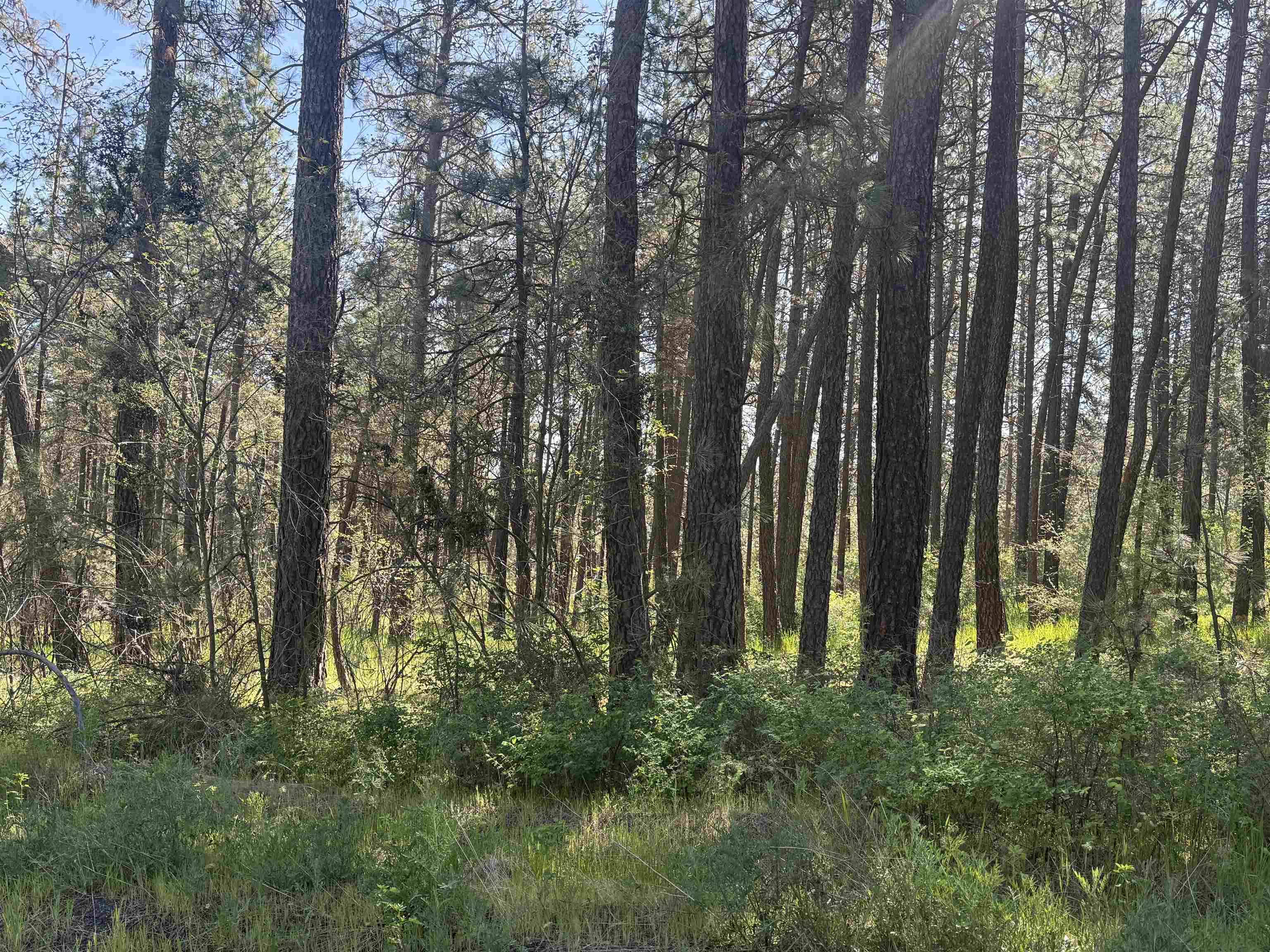34XX W Thorpe Rd, Spokane, WA 99224