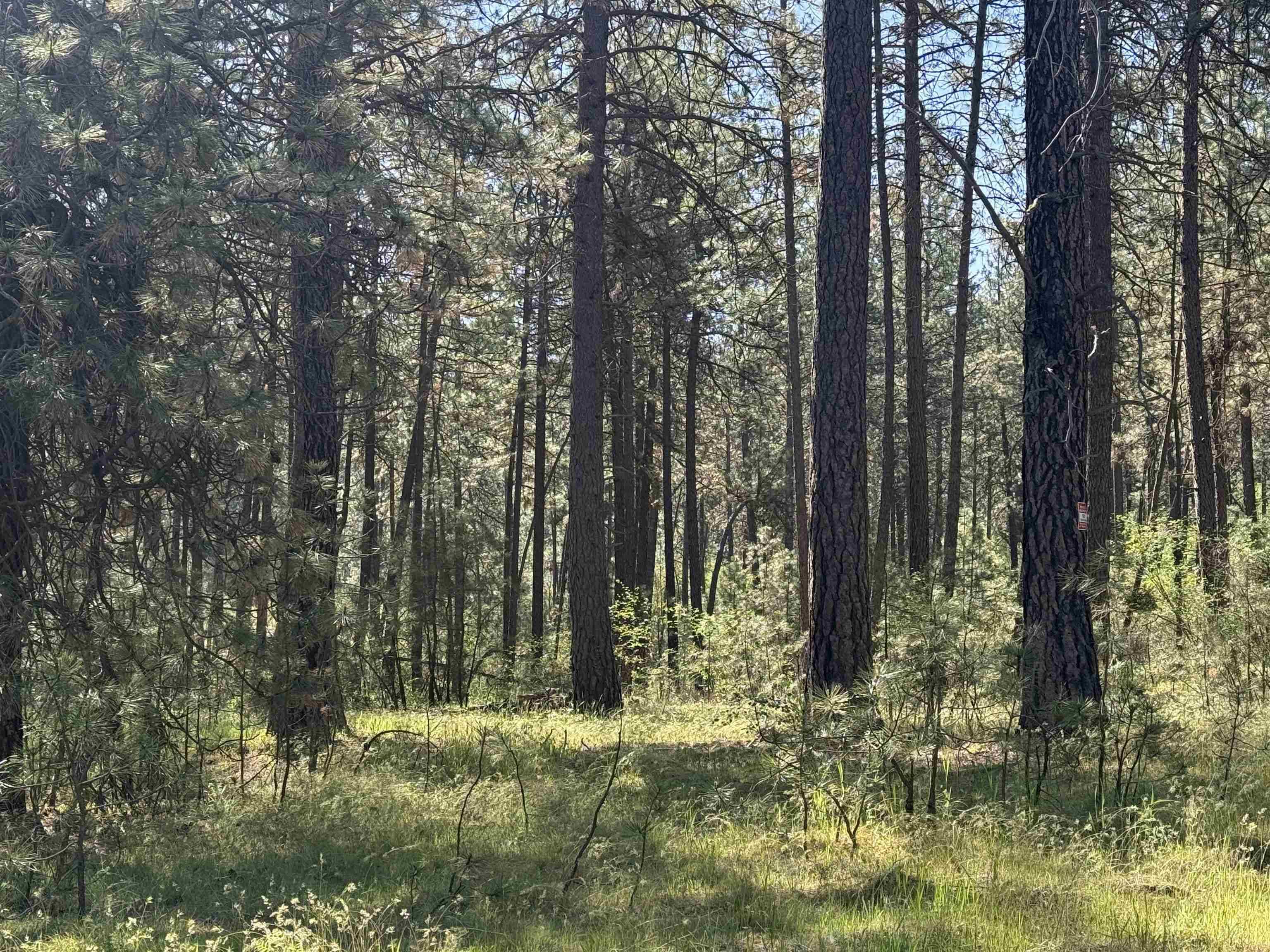 34XX W Thorpe Rd, Spokane, WA 99224