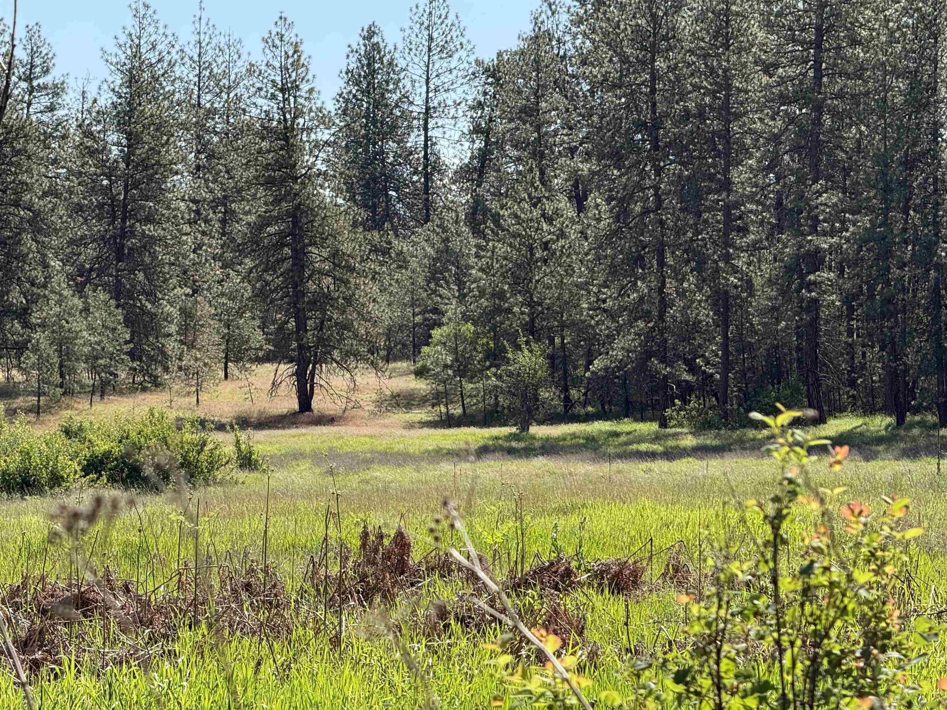 34XX W Thorpe Rd, Spokane, WA 99224