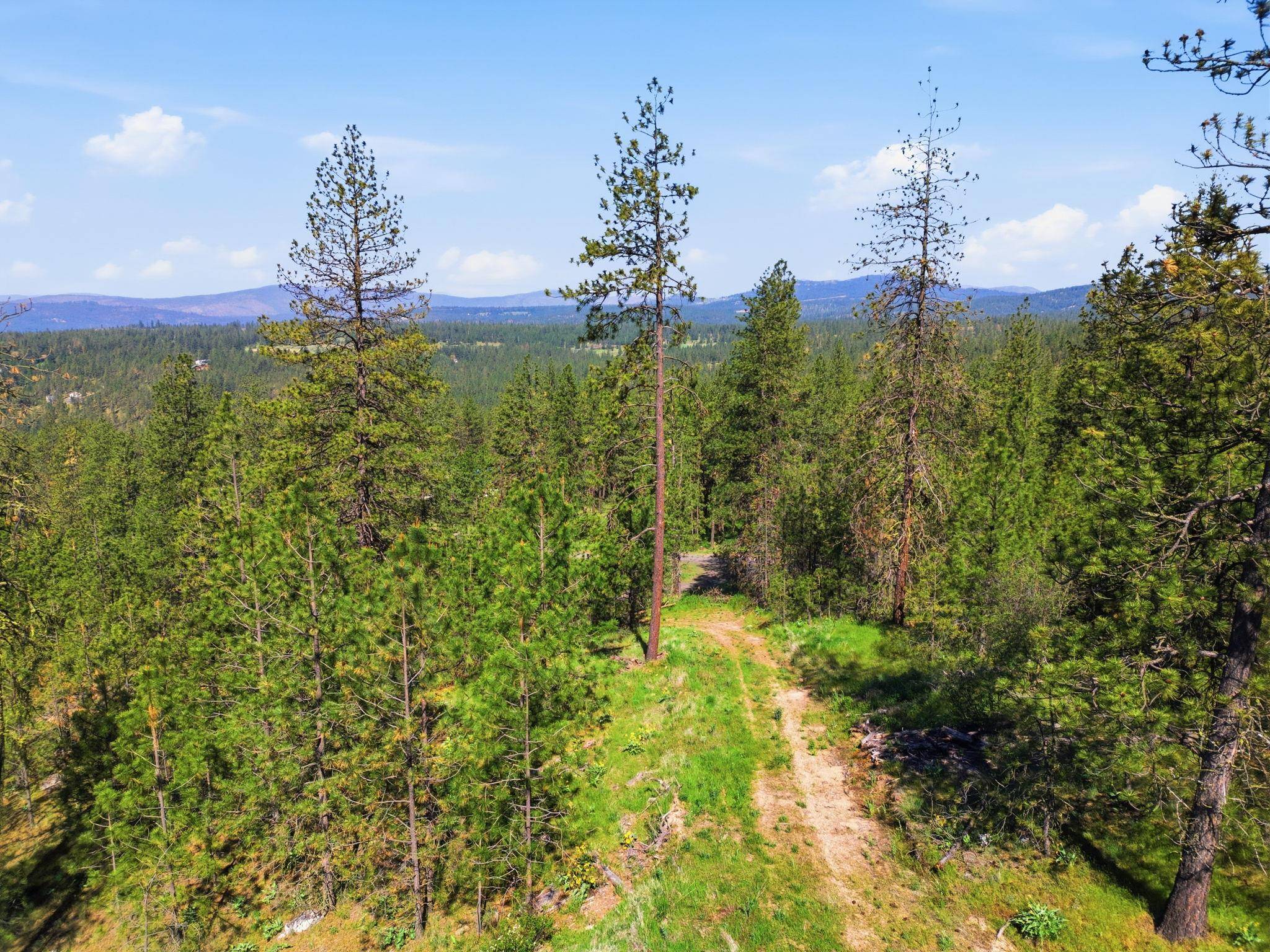 NKA Weaver WAY #Lot D & C, Deer Park, WA 99006