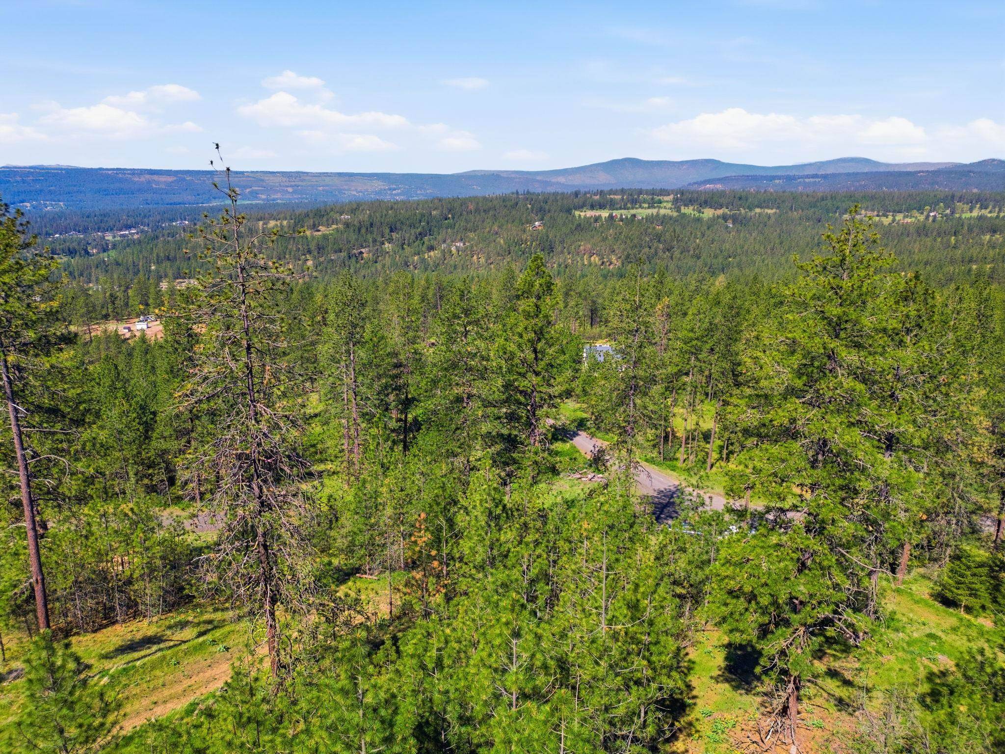 NKA Weaver WAY #Lot D & C, Deer Park, WA 99006