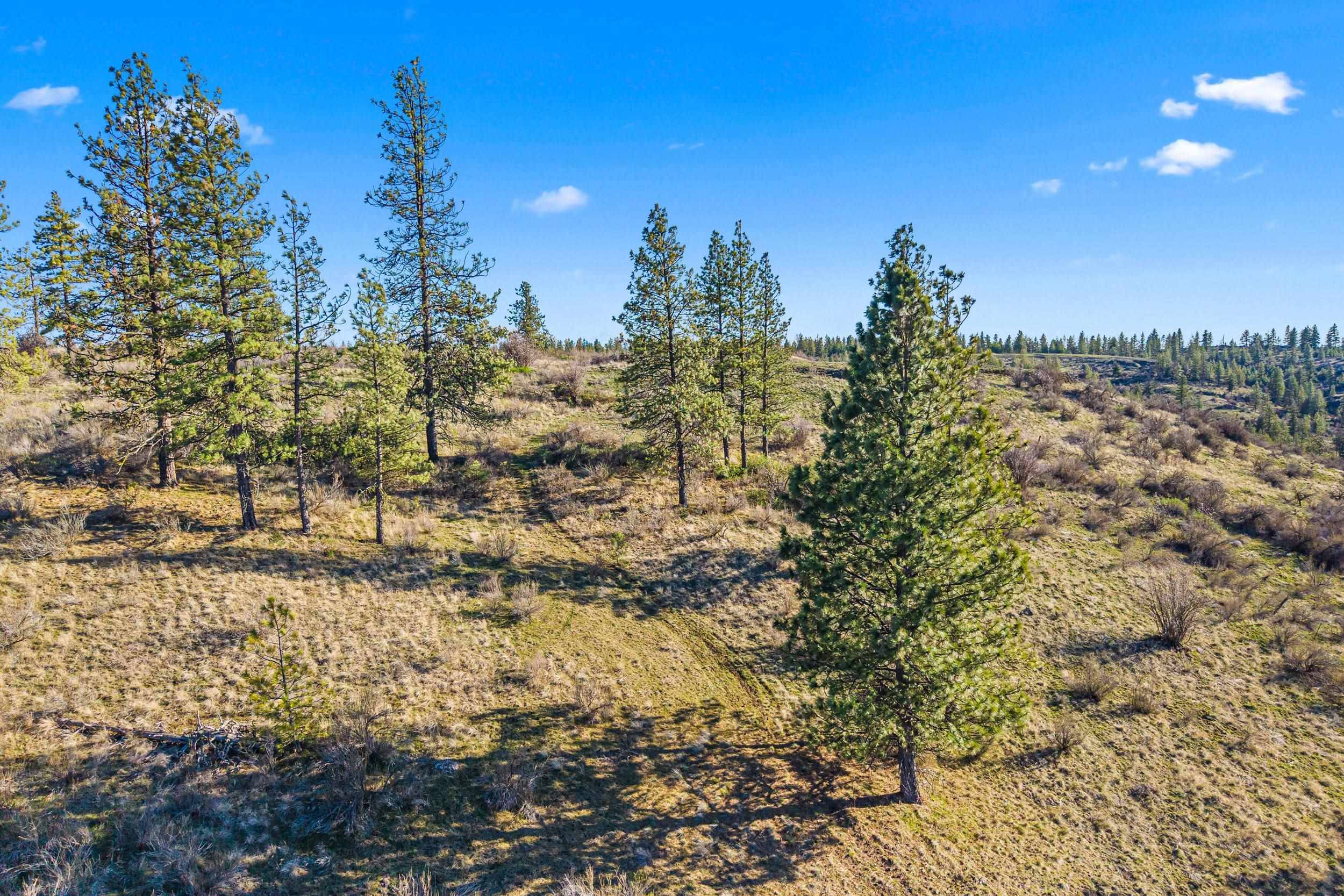 27220 E Underwood Canyon Rd, Creston, WA 99117