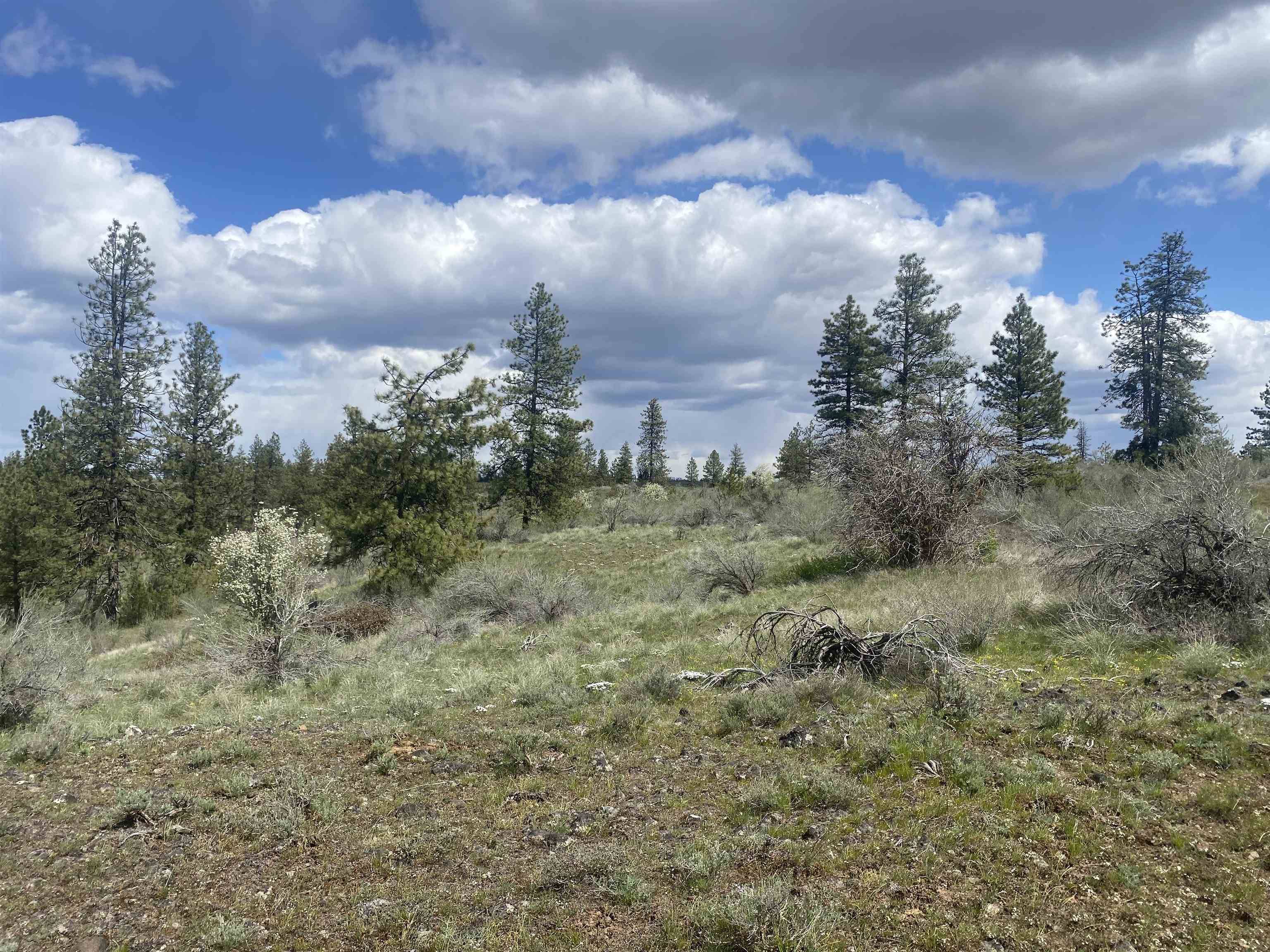 27220 E Underwood Canyon Rd, Creston, WA 99117