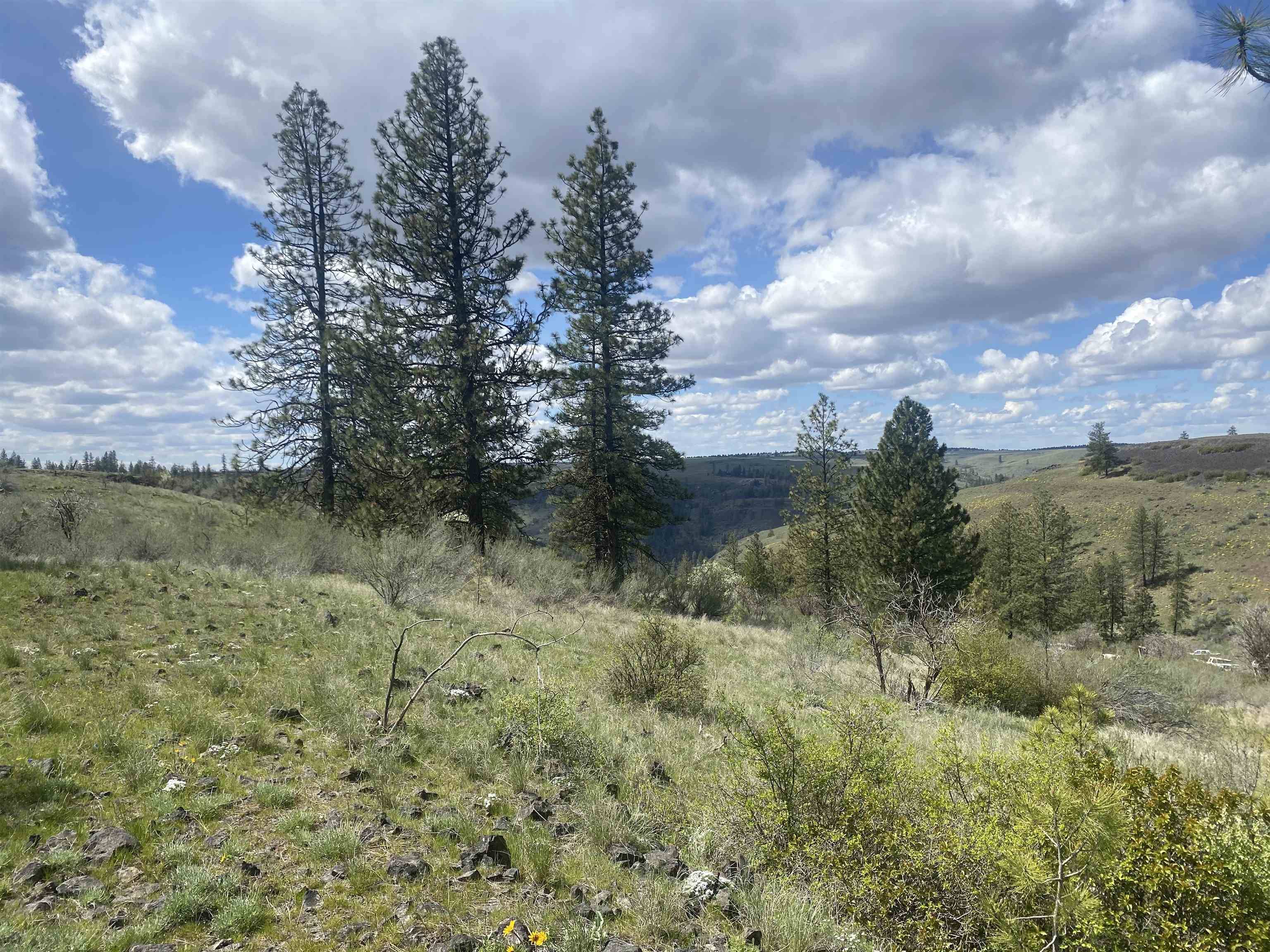 27220 E Underwood Canyon Rd, Creston, WA 99117