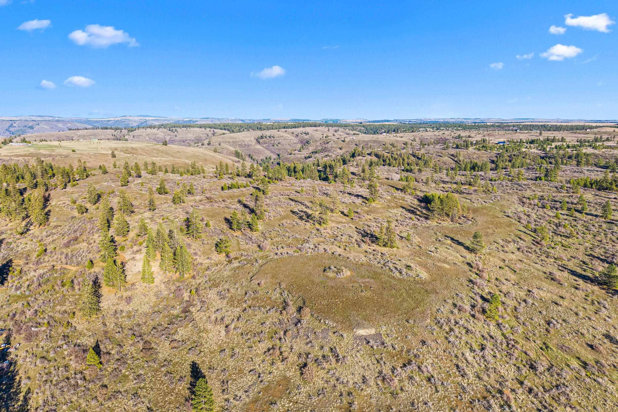27220 E Underwood Canyon Rd, Creston, WA 99117