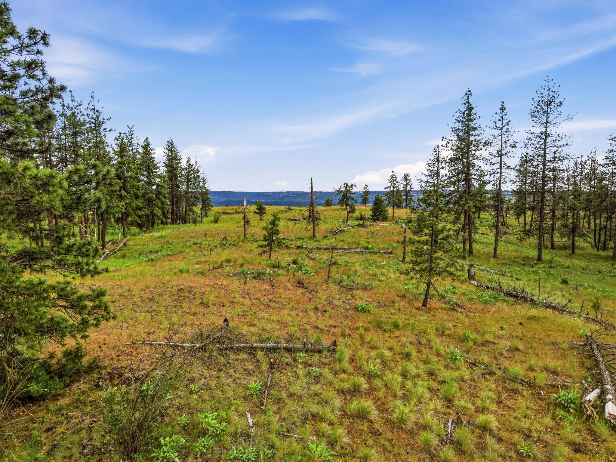 6582 Stony WAY, Nine Mile Falls, WA 99026