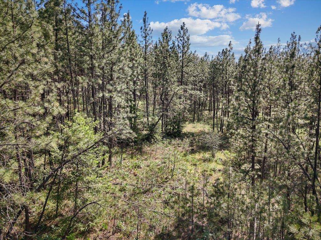 21XXX W South Bank Rd, Nine Mile Falls, WA 99026