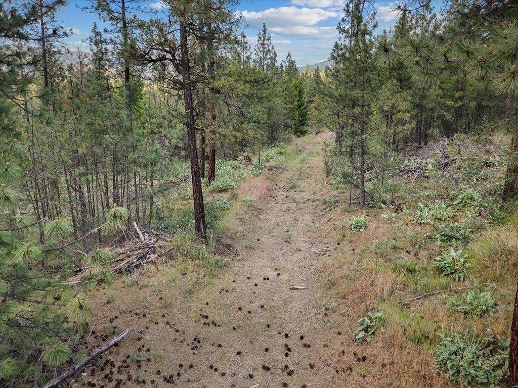 21XXX W South Bank Rd, Nine Mile Falls, WA 99026