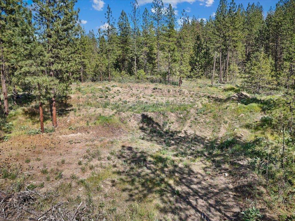 21XXX W South Bank Rd, Nine Mile Falls, WA 99026