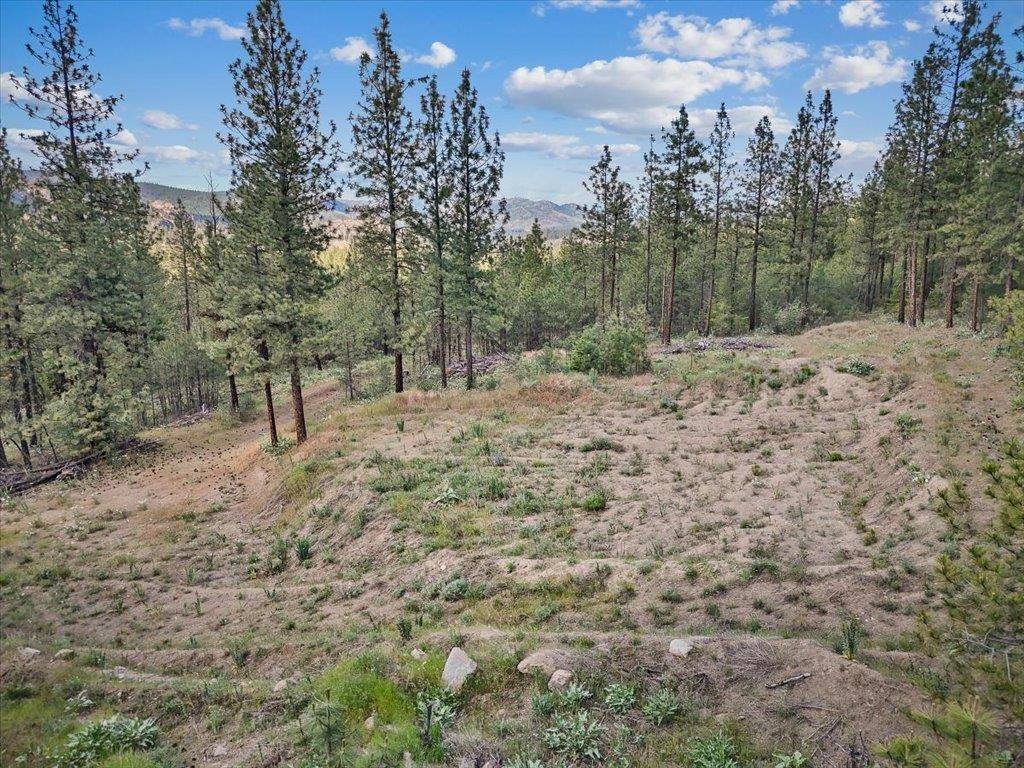 21XXX W South Bank Rd, Nine Mile Falls, WA 99026