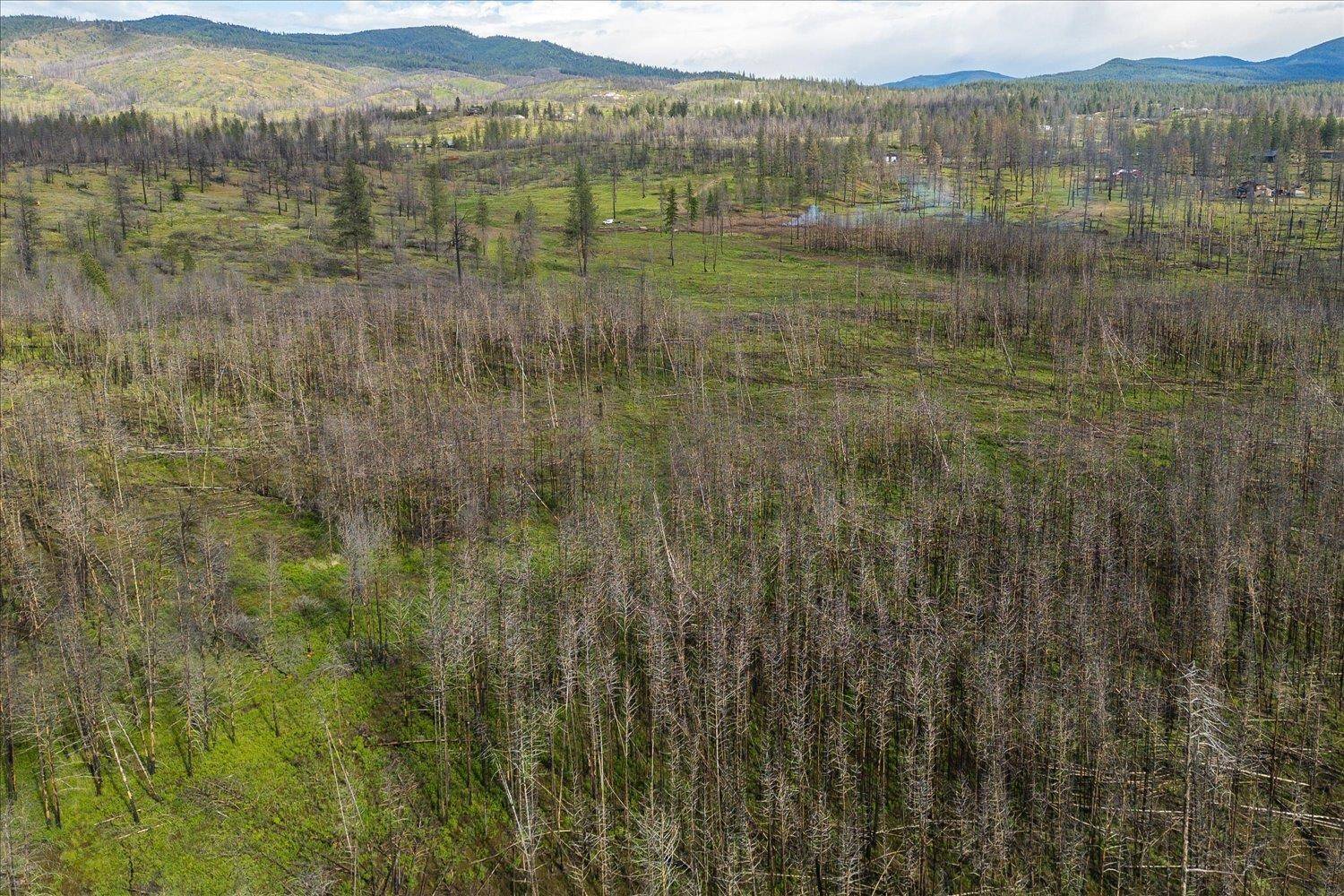 13801 E Bridges Rd, Elk, WA 99009