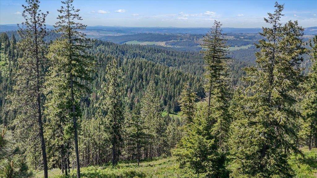 18xxx E Miner Rd, Mead, WA 99021