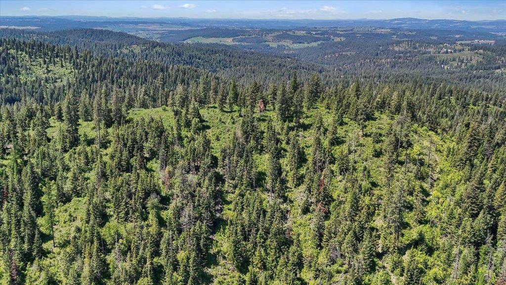 18xxx E Miner Rd, Mead, WA 99021