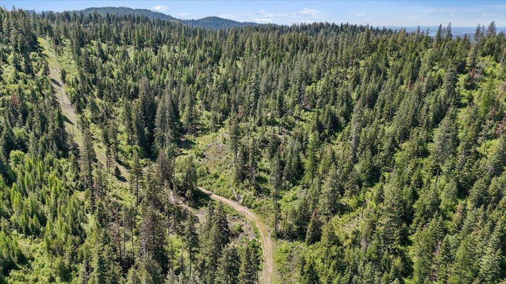 18xxx E Miner Rd, Mead, WA 99021