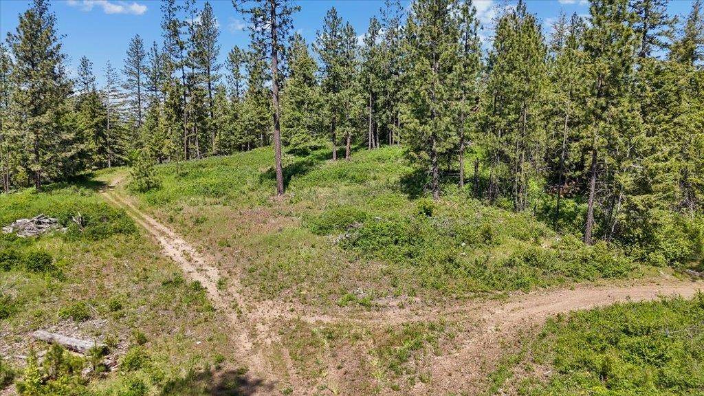 18xxx E Miner Rd, Mead, WA 99021