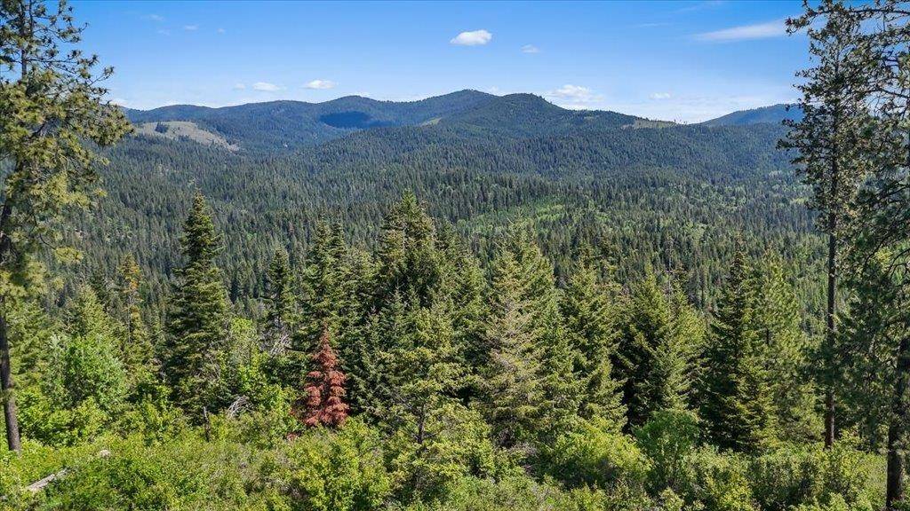 18xxx E Miner Rd, Mead, WA 99021