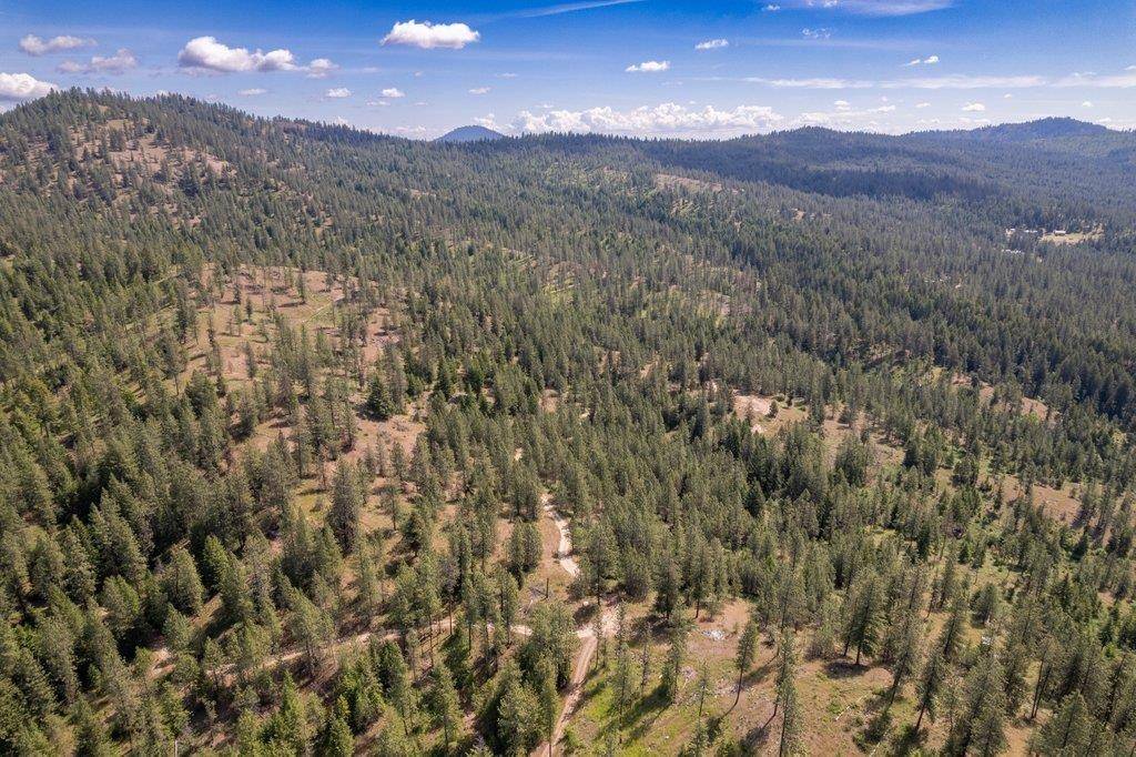 4589 Strange WAY, Springdale, WA 99173