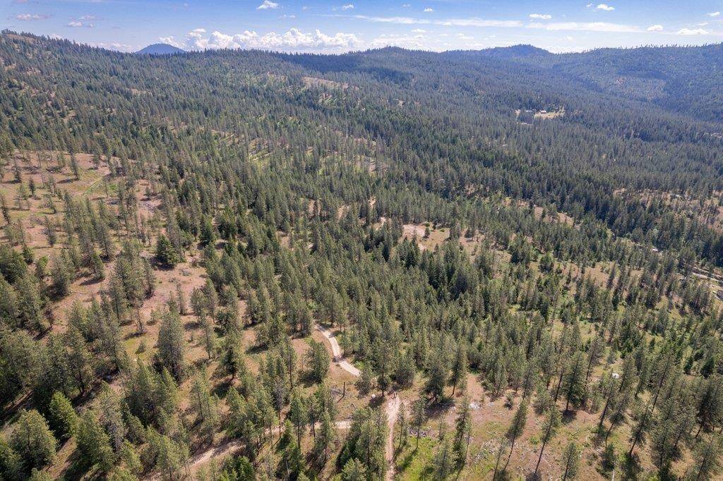 4589 Strange WAY, Springdale, WA 99173