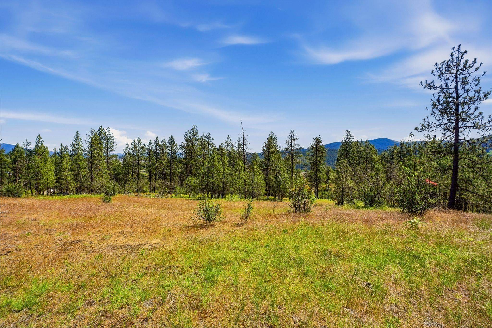NKA N Chase Ln, Liberty Lake, WA 99019