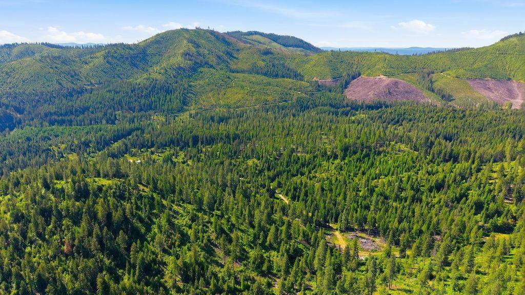 4398K Deer Creek Rd, Valley, WA 99181