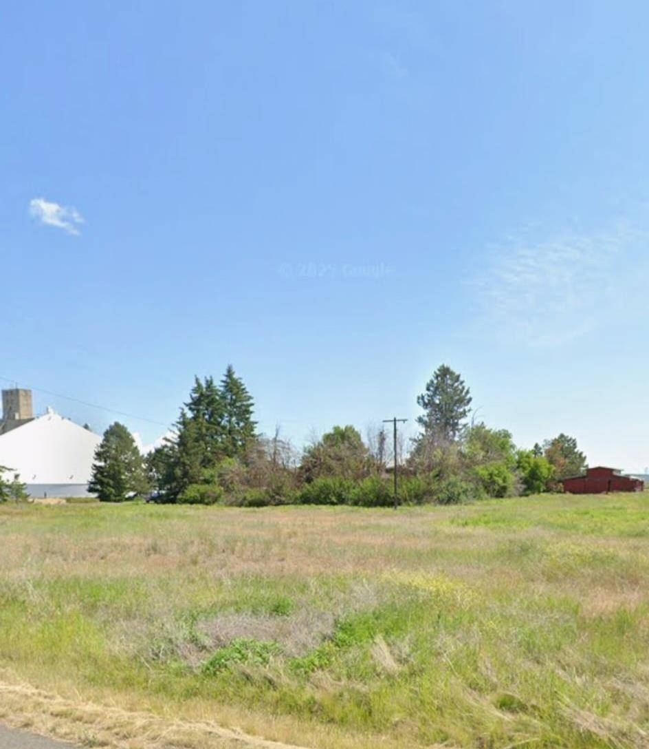 XXX 8th St, Davenport, WA 99122