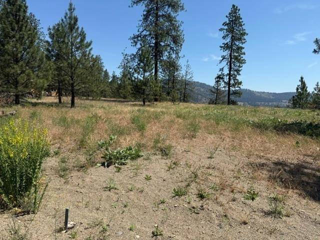Lot 1 Long Lake Estates Est, Nine Mile Falls, WA 99026