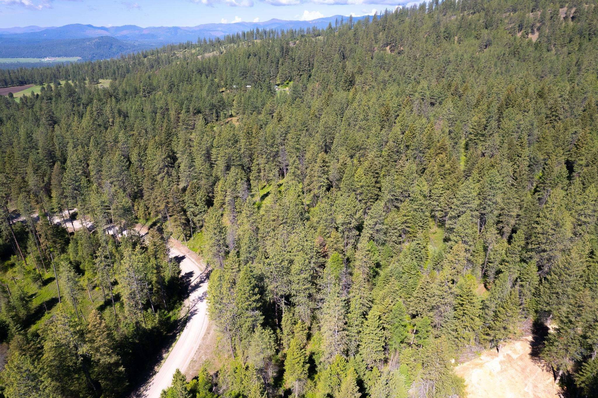 3436 W Jumpoff Rd, Valley, WA 99181