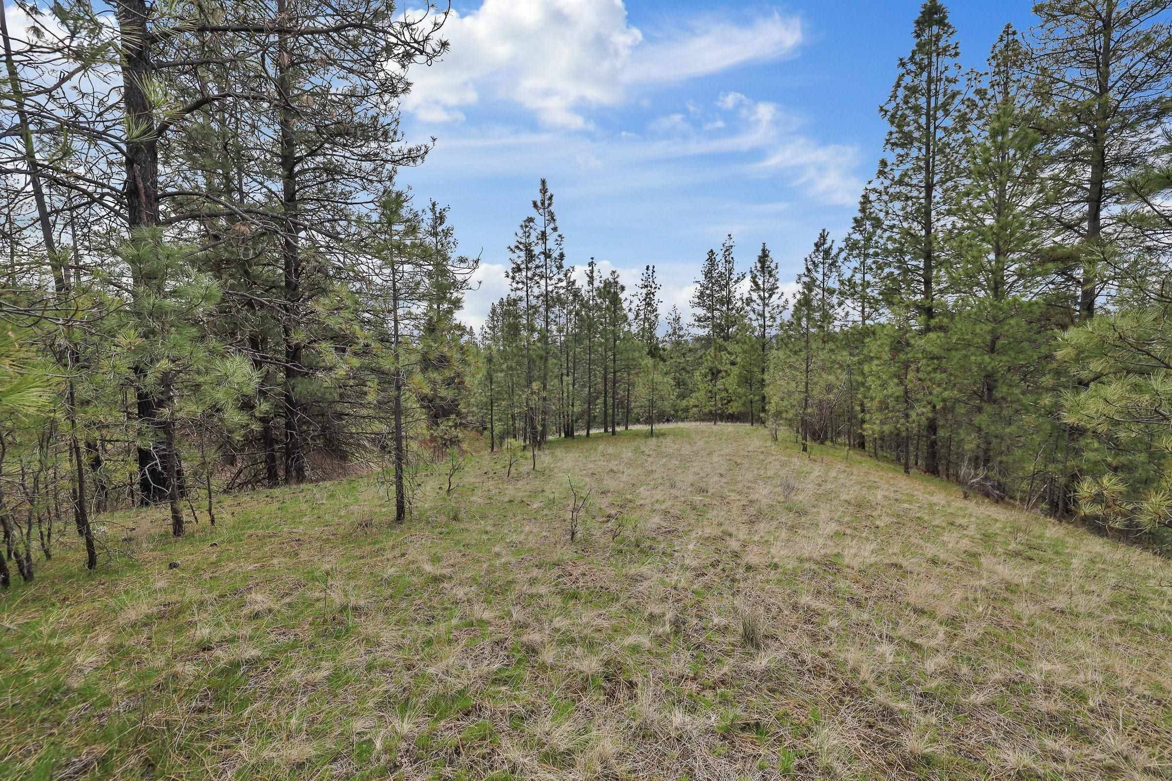 NKA Lower Weaver WAY #Lot 4 of Lot 11, Deer Park, WA 99006