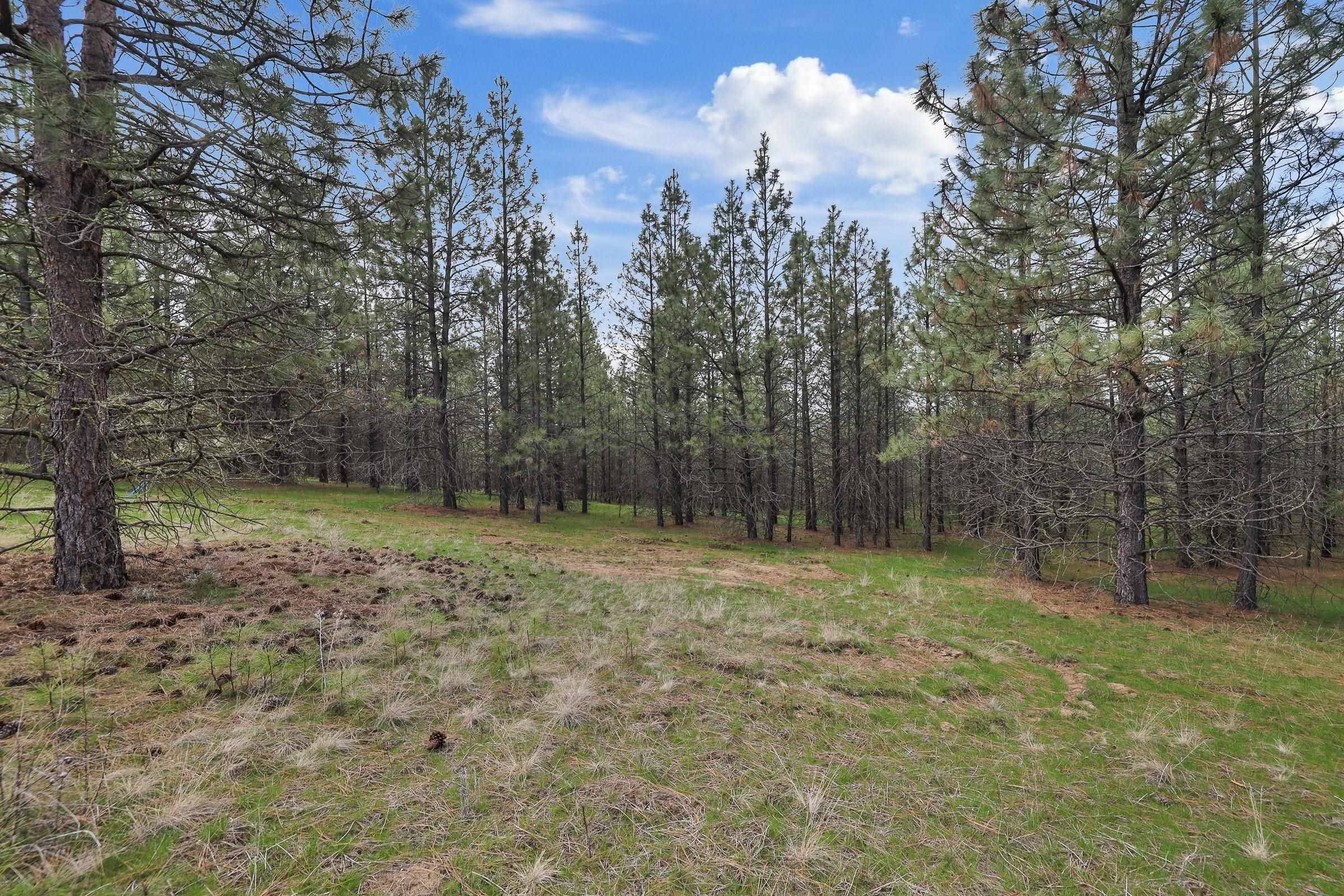 NKA Lower Weaver WAY #Lot 4 of Lot 11, Deer Park, WA 99006