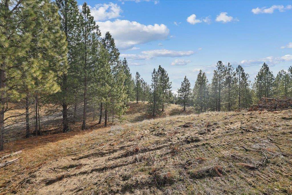 NKA Lower Weaver WAY #Lot 3 of Lot 11, Deer Park, WA 99006