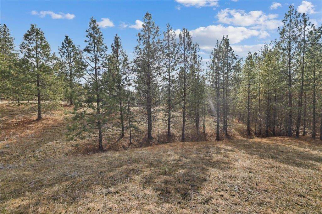 NKA Lower Weaver WAY #Lot 3 of Lot 11, Deer Park, WA 99006