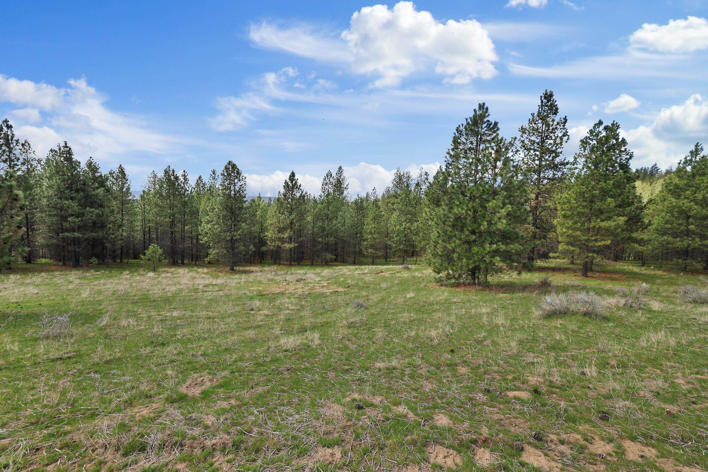 NKA Lower Weaver WAY #Lot 1 of Lot 11, Deer Park, WA 99006