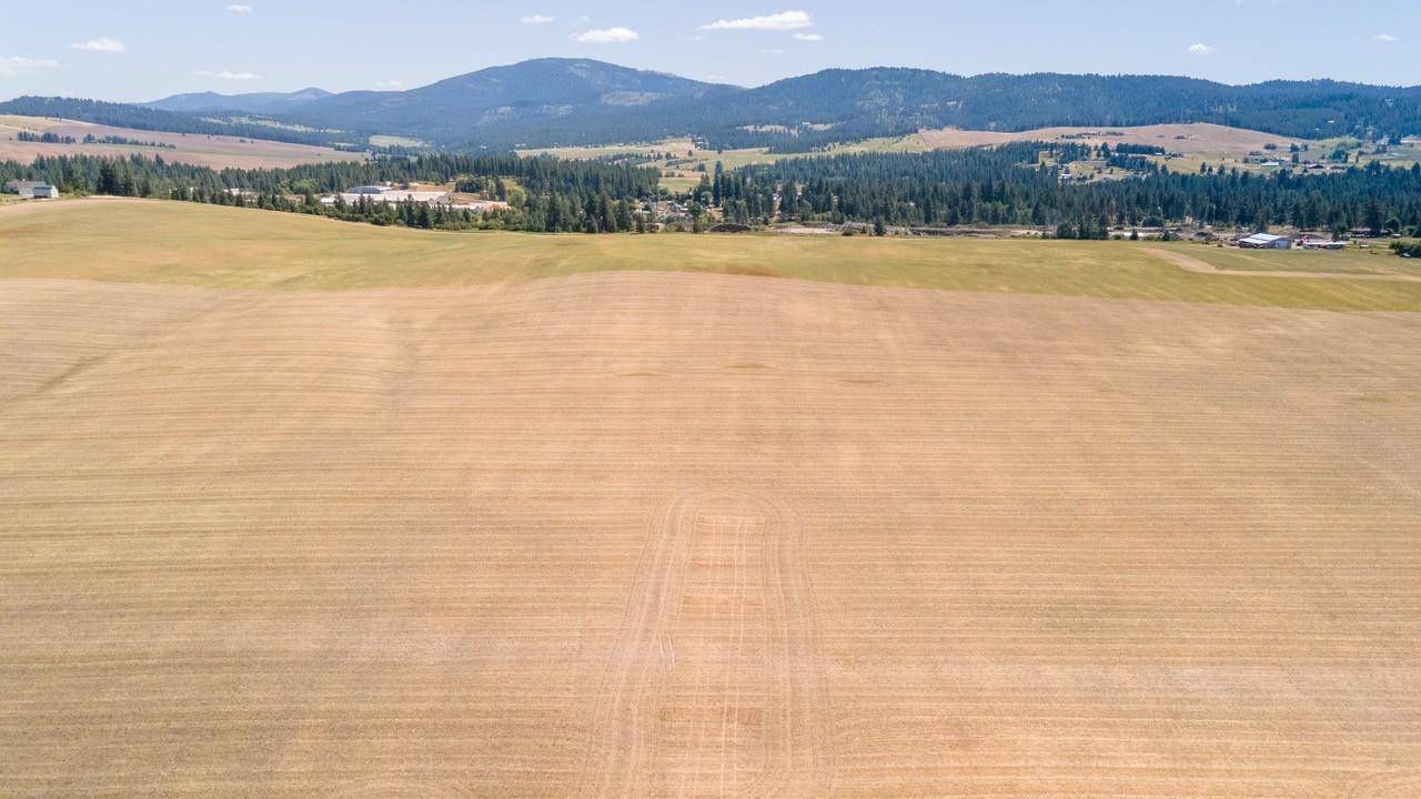 13507 E Gibbs Rd, Mica, WA 99023