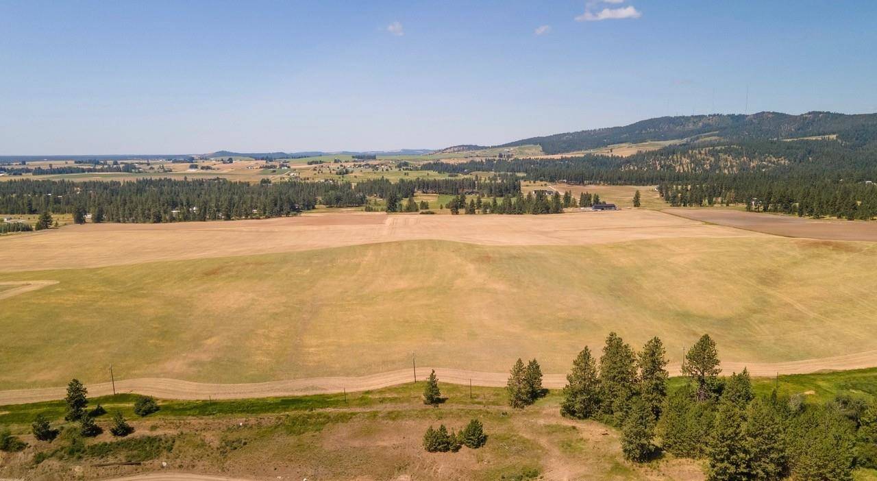 13507 E Gibbs Rd, Mica, WA 99023