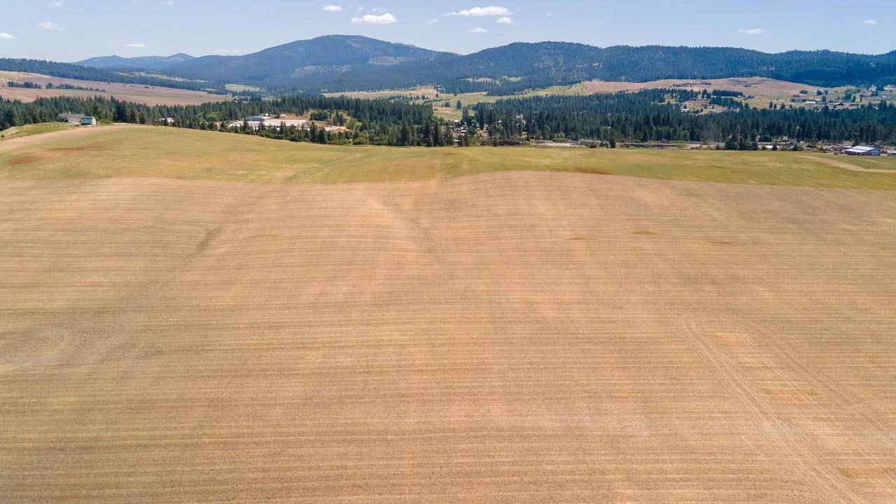 13507 E Gibbs Rd, Mica, WA 99023