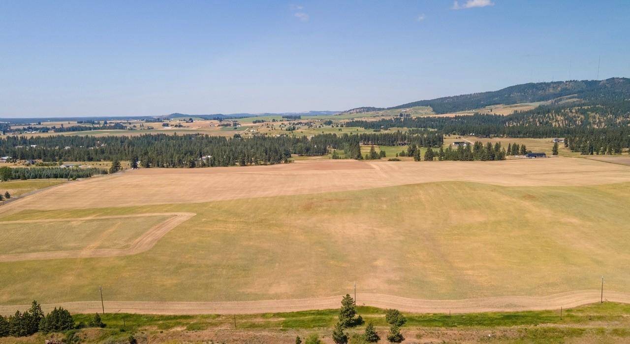13505 E Gibbs Rd, Mica, WA 99023