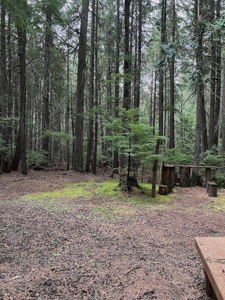 NKA Soggy Bottom Ln, Cusick, WA 99119