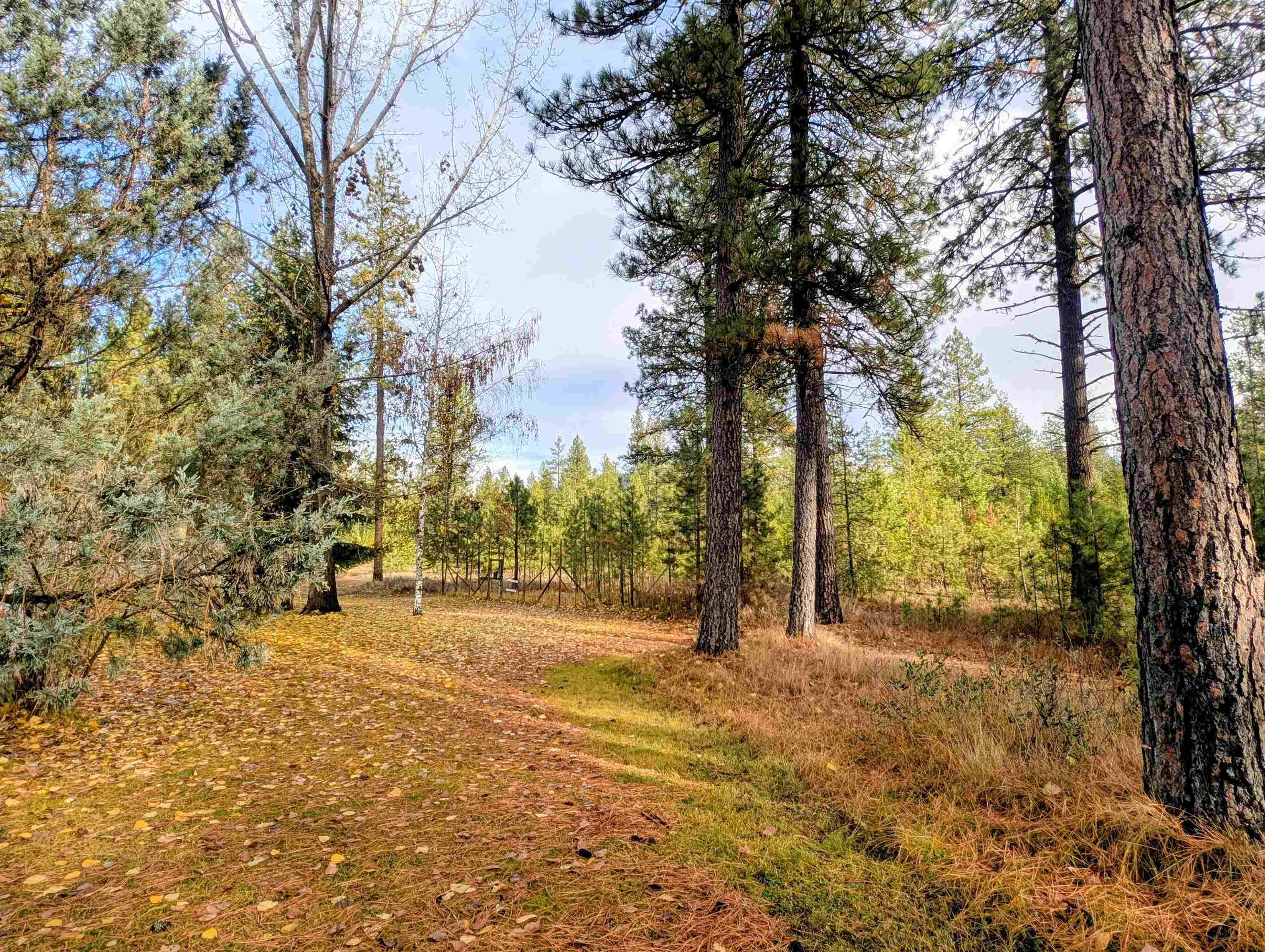 4040 Lyon Moss Rd, Loon Lake, WA 99148