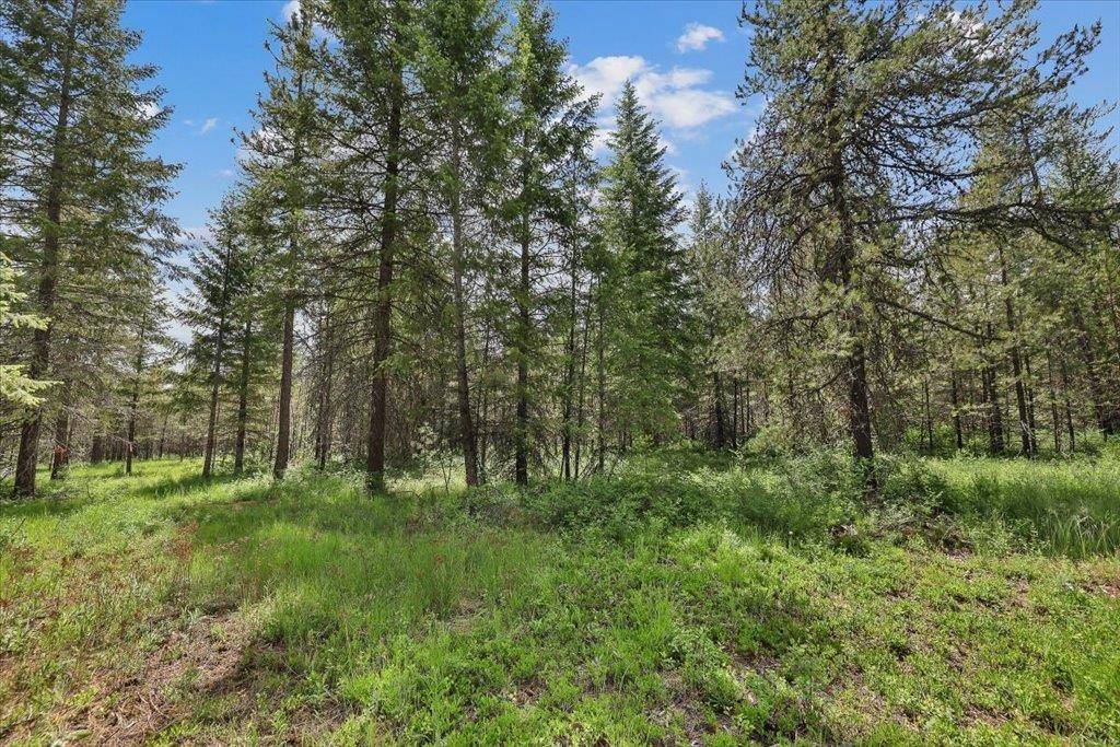 3804 Meadowlark WAY, Loon Lake, WA 99148