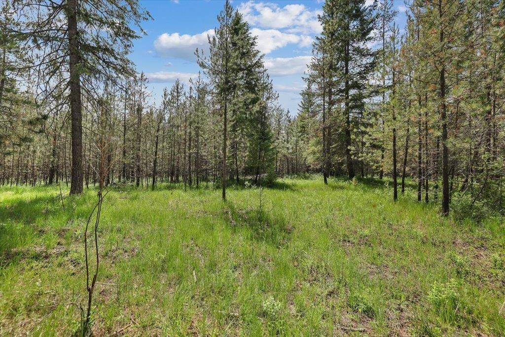 3804 Meadowlark WAY, Loon Lake, WA 99148