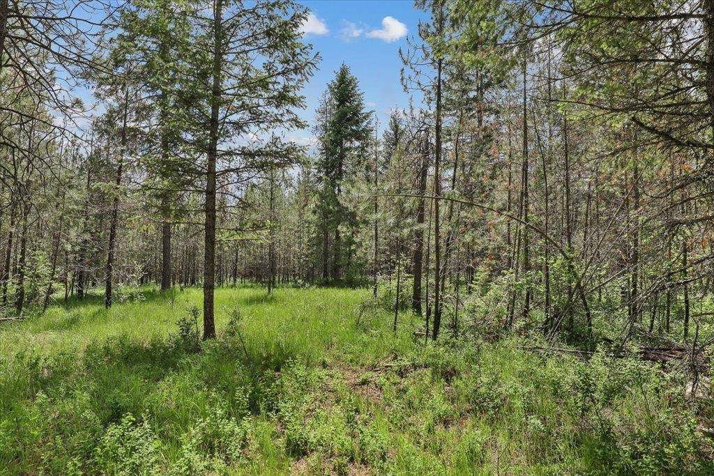 3804 Meadowlark WAY, Loon Lake, WA 99148