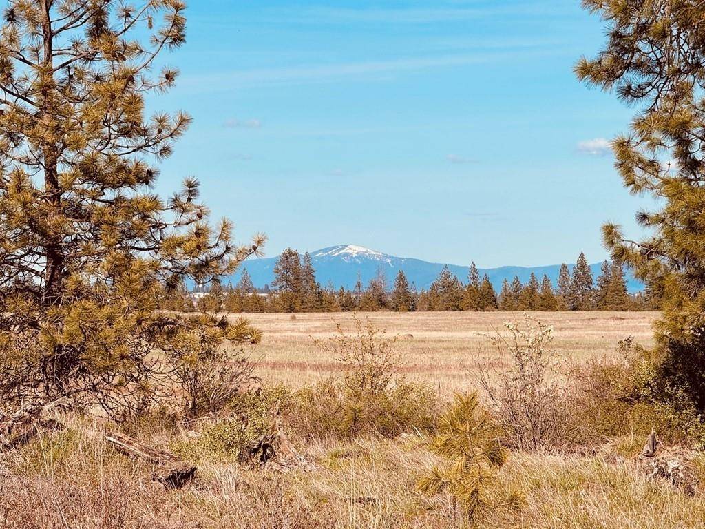 XX257 Hayford Rd #5802 N Hayford Rd, Spokane, WA 99224