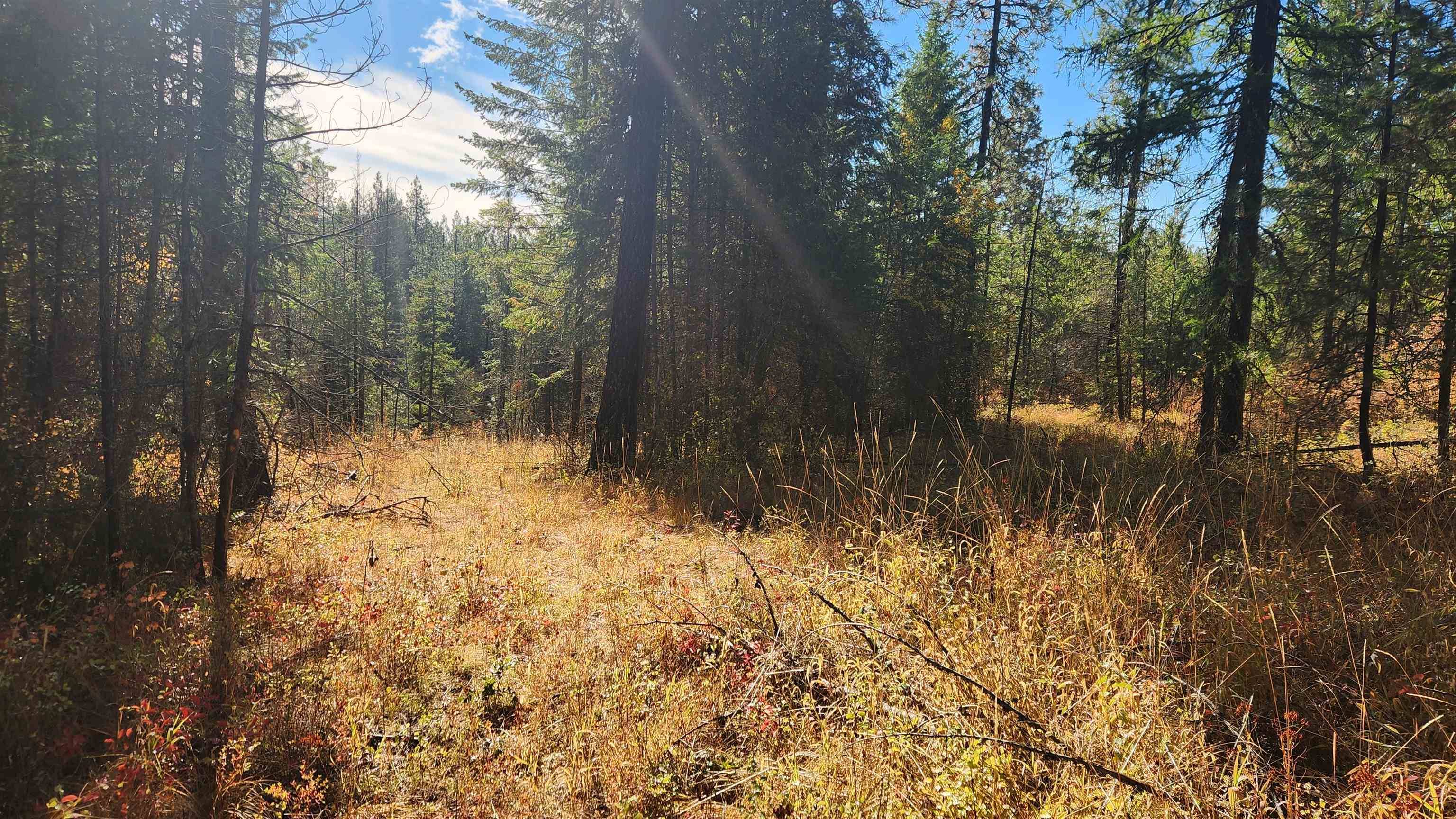 43xx Lyons Hill Rd, Springdale, WA 99173