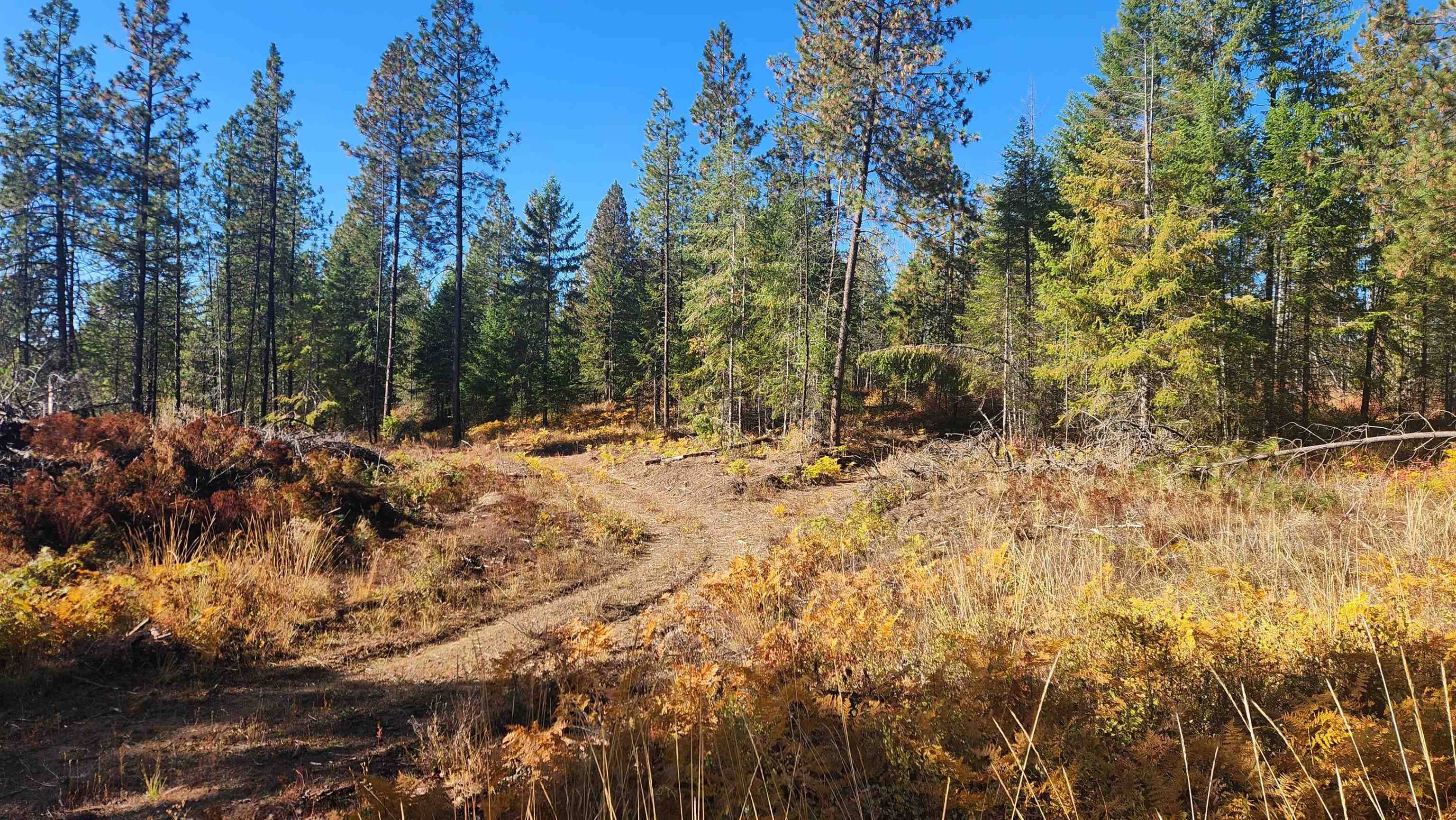 43xx Lyons Hill Rd, Springdale, WA 99173