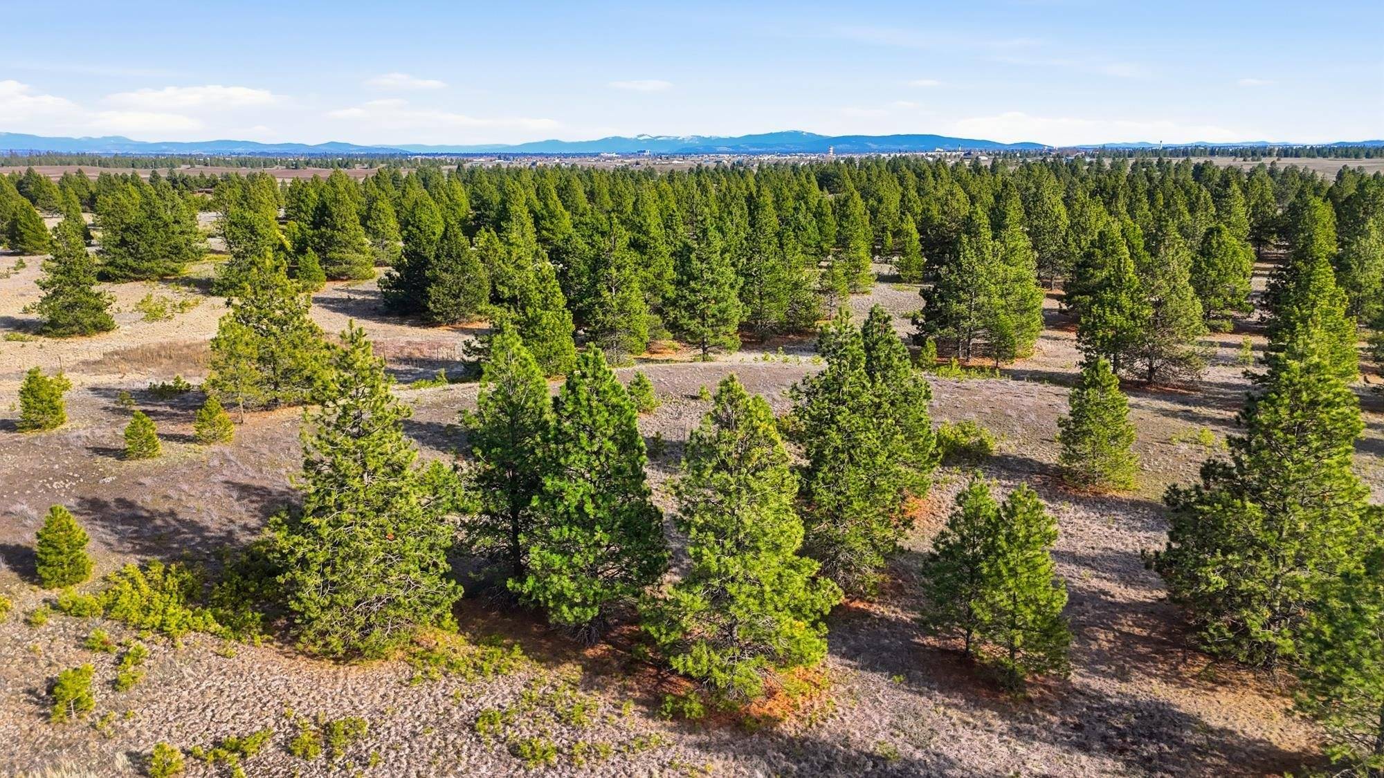 00 N Dover Rd, Medical Lake, WA 99022