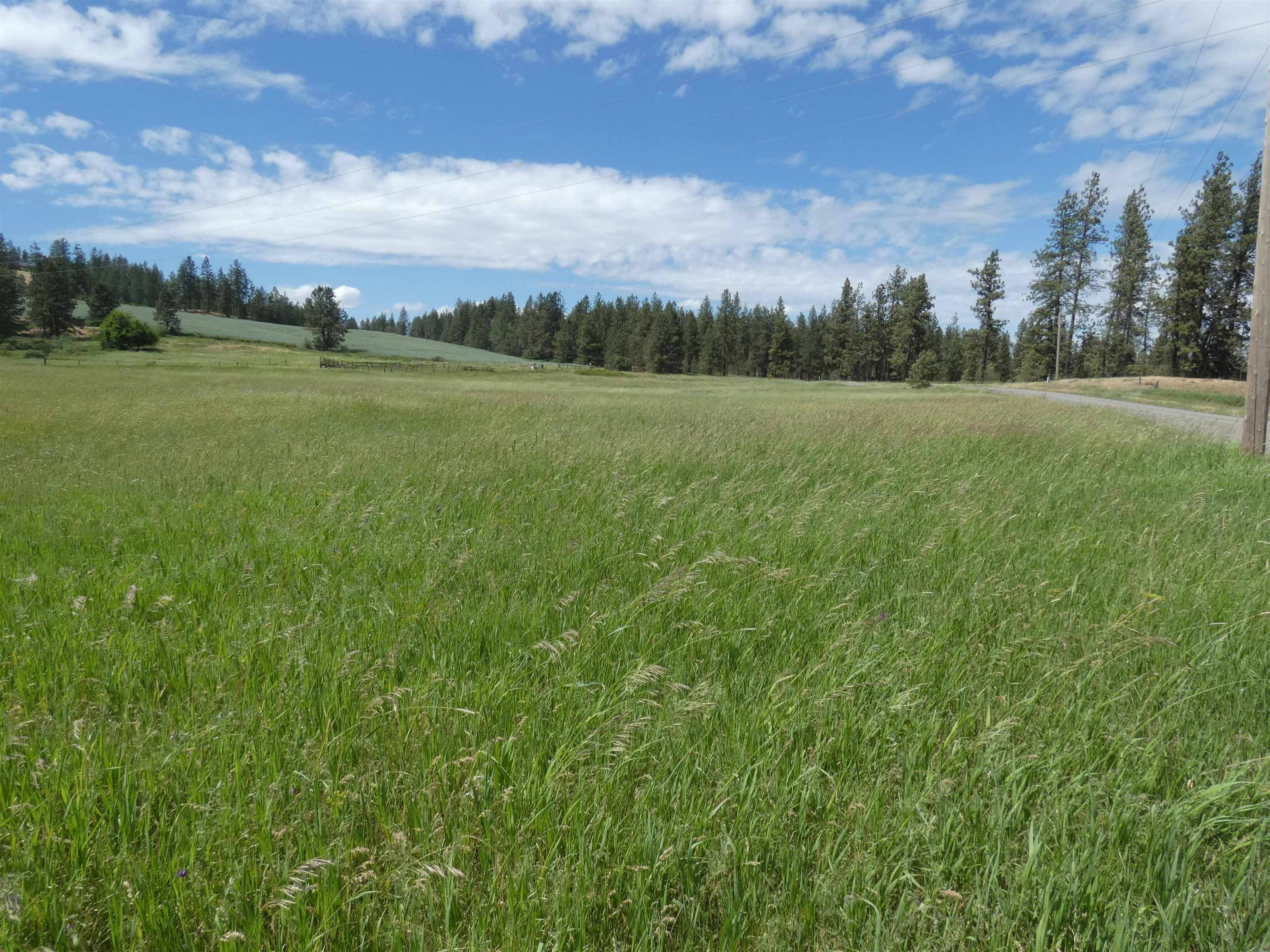8309 W Jensen Rd, Cheney, WA 99004