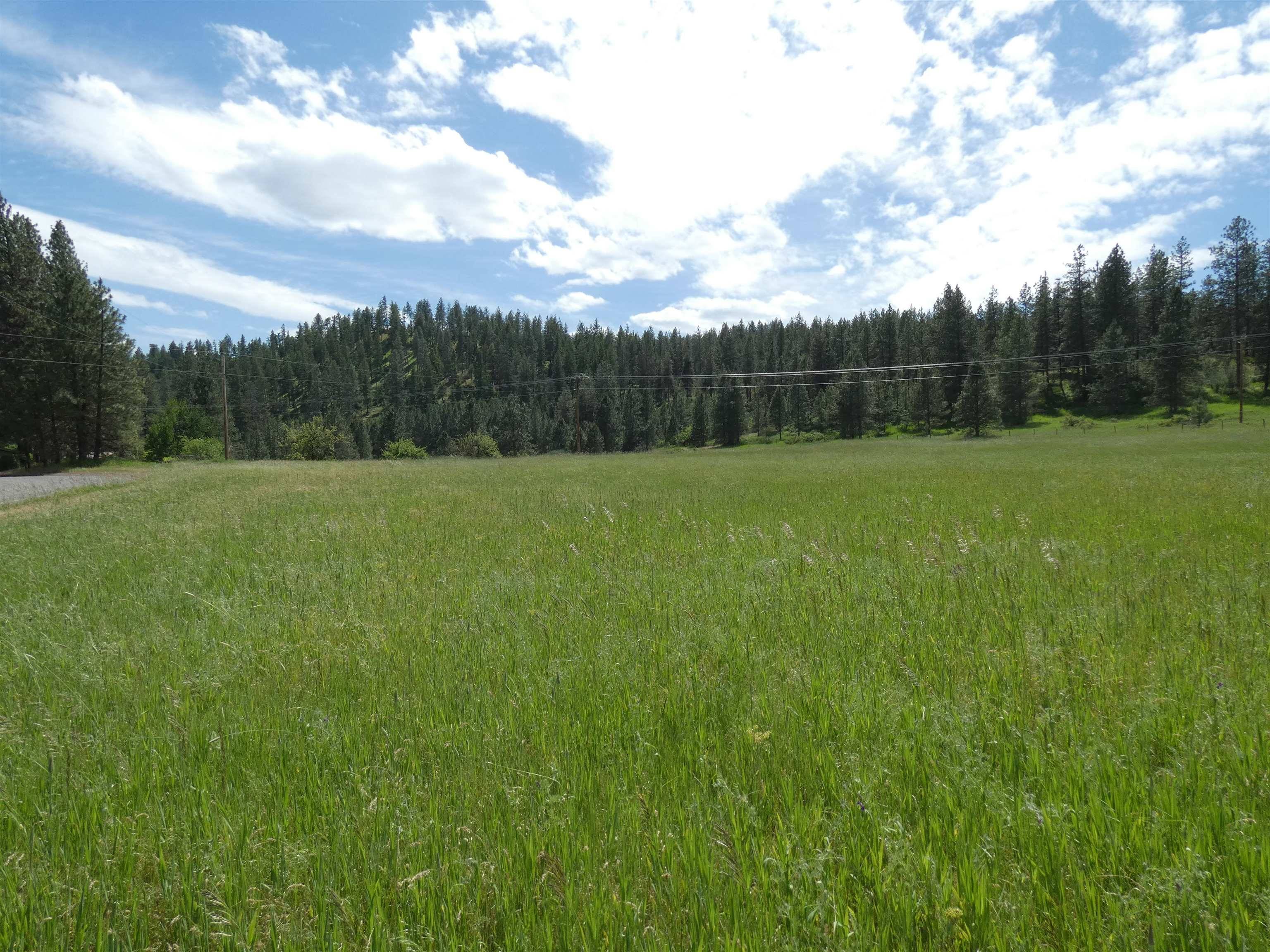 8309 W Jensen Rd, Cheney, WA 99004