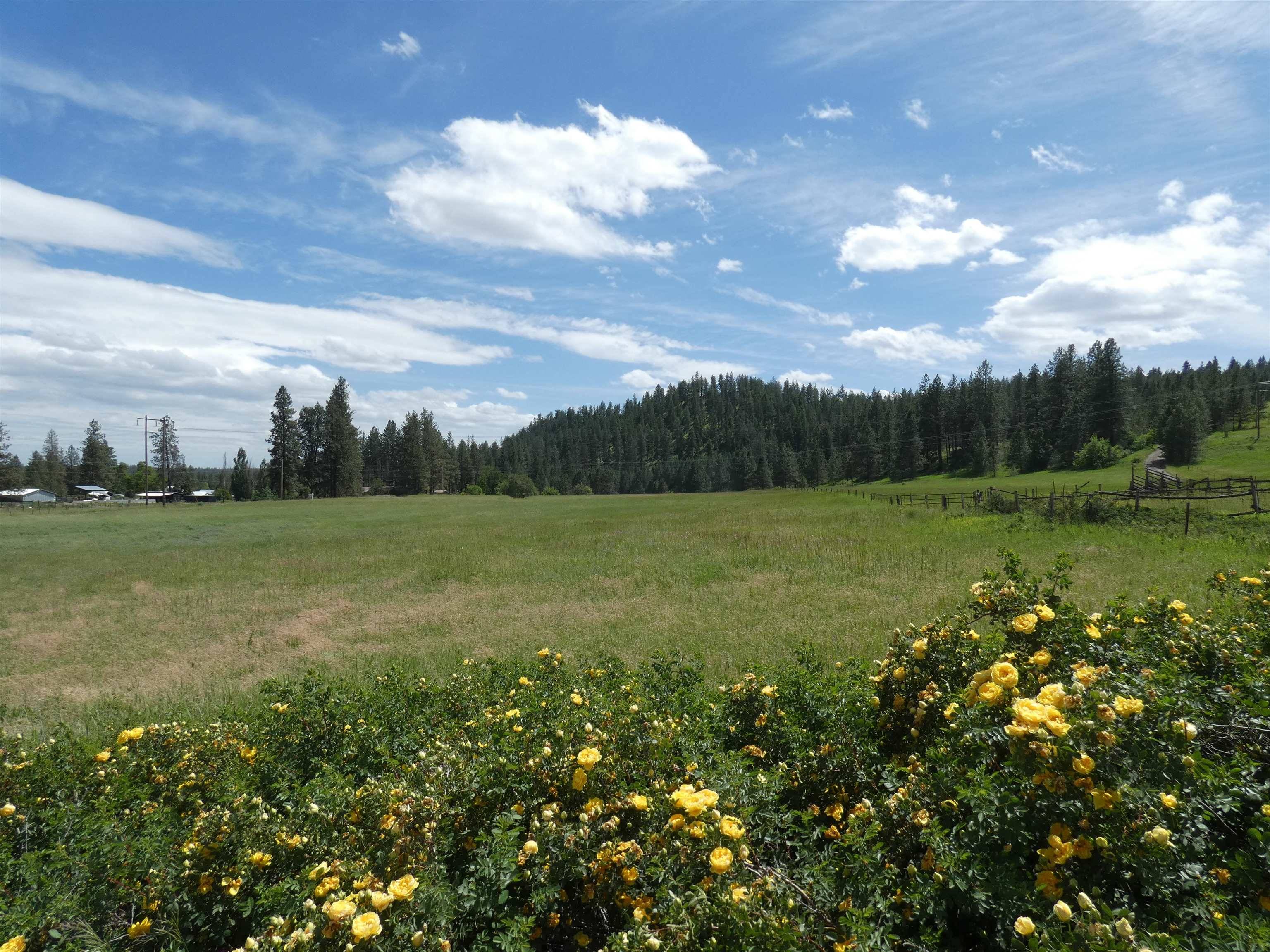 8309 W Jensen Rd, Cheney, WA 99004