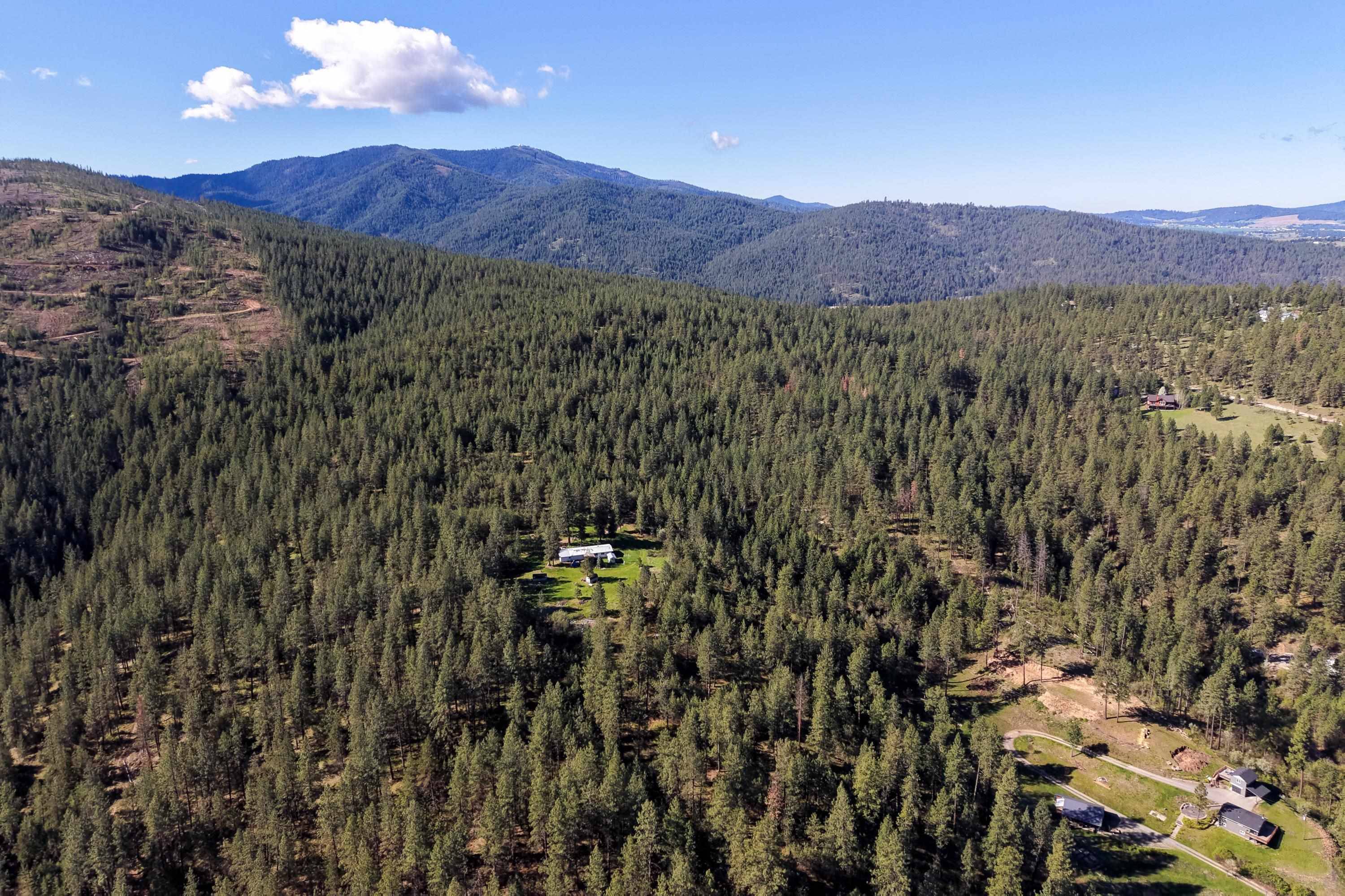 NKA S Idaho (9024) Rd, Liberty Lake, WA 99019