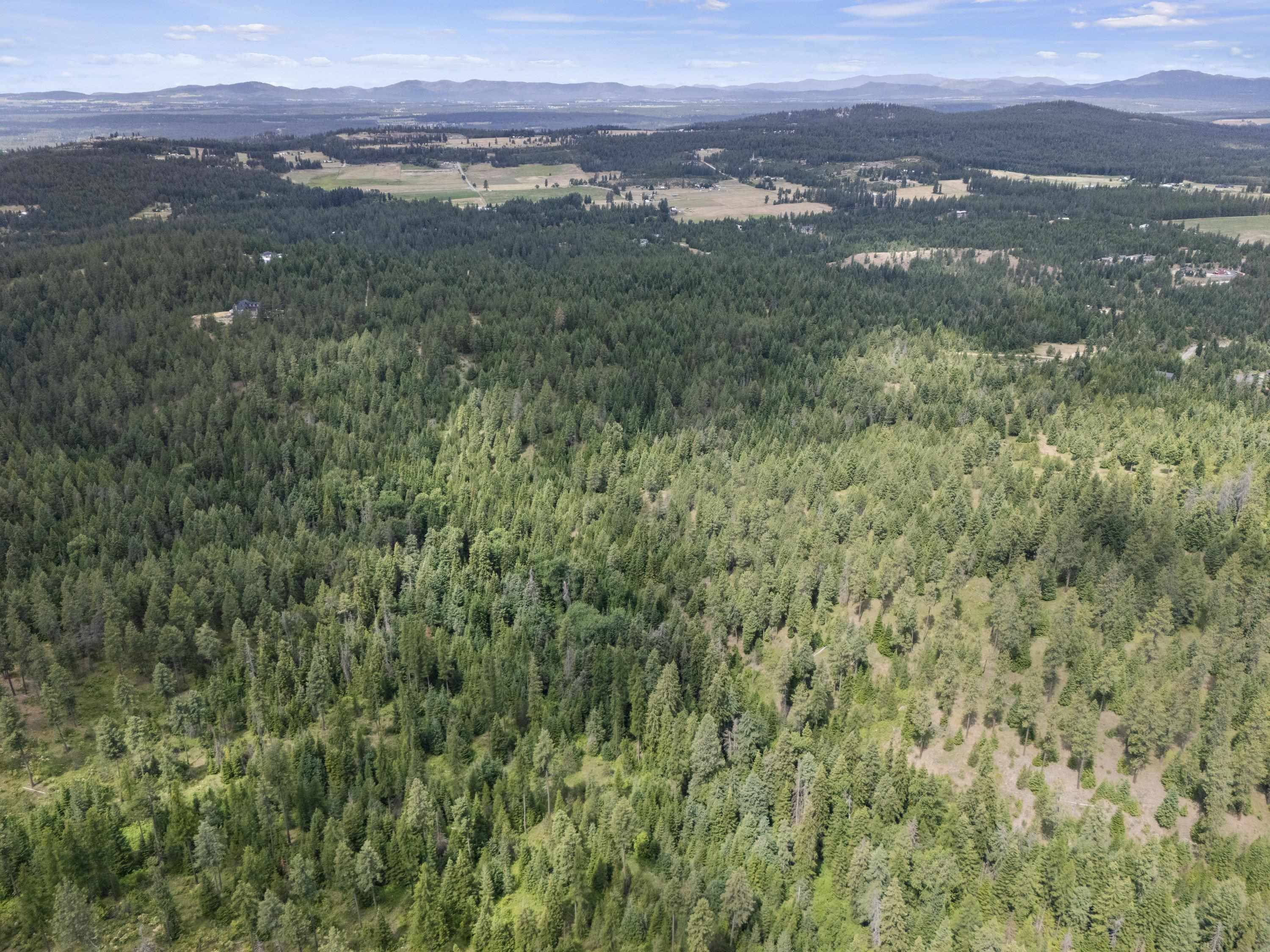 XX1 E Dusty Ln, Chattaroy, WA 99003